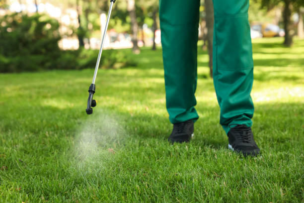 Best Affordable Pest Control Services  in Golden Meadow, LA